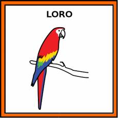 LORO - Pictograma (color)