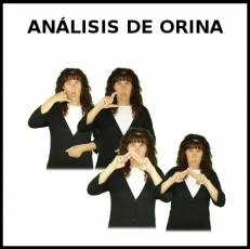 ANÁLISIS DE ORINA - Signo