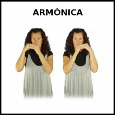 ARMÓNICA - Signo