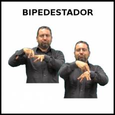 BIPEDESTADOR - Signo