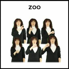 ZOO - Signo