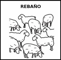 REBAÑO - Pictograma (blanco y negro)
