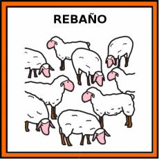 REBAÑO - Pictograma (color)