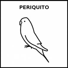 PERIQUITO - Pictograma (blanco y negro)