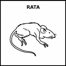 RATA - Pictograma (blanco y negro)