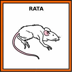 RATA - Pictograma (color)