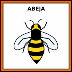 ABEJA - Pictograma (color)