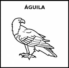 ÁGUILA - Pictograma (blanco y negro)