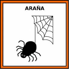 ARAÑA - Pictograma (color)