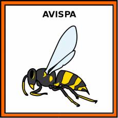 AVISPA - Pictograma (color)