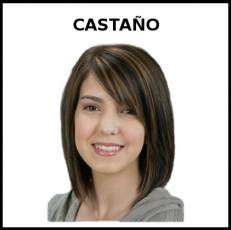 CASTAÑO (COLOR DE PELO) - Foto