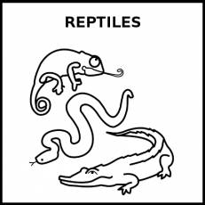 REPTILES - Pictograma (blanco y negro)