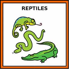 REPTILES - Pictograma (color)