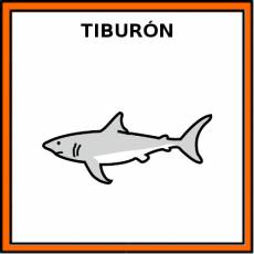 TIBURÓN (ANIMAL) - Pictograma (color)