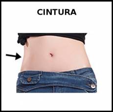 CINTURA - Foto