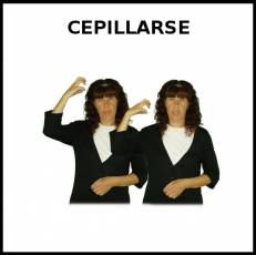 CEPILLARSE EL PELO - Signo