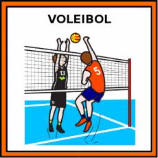 VOLEIBOL - Pictograma (color)