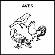 AVES - Pictograma (blanco y negro)