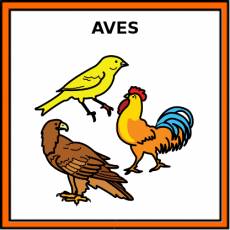 AVES - Pictograma (color)