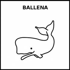BALLENA - Pictograma (blanco y negro)