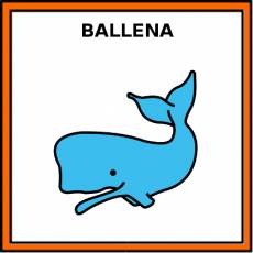 BALLENA - Pictograma (color)