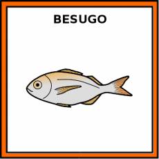 BESUGO (ANIMAL) - Pictograma (color)