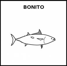BONITO (ANIMAL) - Pictograma (blanco y negro)