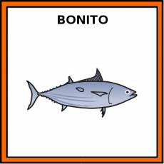 BONITO (ANIMAL) - Pictograma (color)