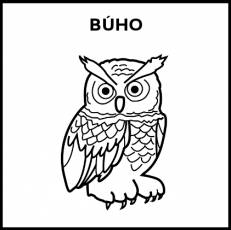 BÚHO - Pictograma (blanco y negro)