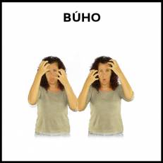 BÚHO - Signo