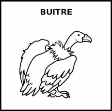 BUITRE - Pictograma (blanco y negro)