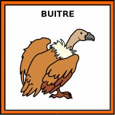 BUITRE - Pictograma (color)