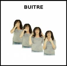 BUITRE - Signo
