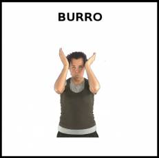 BURRO - Signo