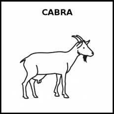 CABRA - Pictograma (blanco y negro)