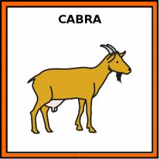 CABRA - Pictograma (color)