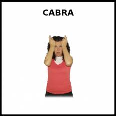 CABRA - Signo