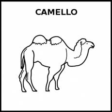CAMELLO - Pictograma (blanco y negro)