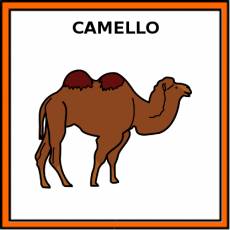 CAMELLO - Pictograma (color)