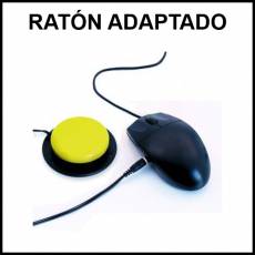 RATÓN ADAPTADO - Foto
