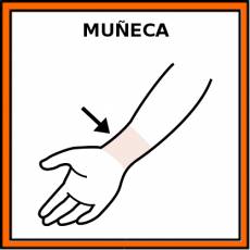 MUÑECA (ARTICULACIÓN) - Pictograma (color)