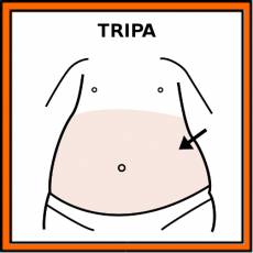 TRIPA - Pictograma (color)