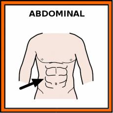 ABDOMINAL - Pictograma (color)