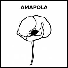 AMAPOLA - Pictograma (blanco y negro)