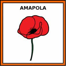 AMAPOLA - Pictograma (color)