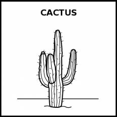 CACTUS - Pictograma (blanco y negro)