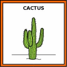 CACTUS - Pictograma (color)
