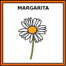 MARGARITA - Pictograma (color)