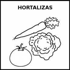 HORTALIZAS - Pictograma (blanco y negro)