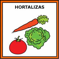 HORTALIZAS - Pictograma (color)